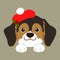 Flat colored adorable dark tri colored Beagle front face with paws Christmas style
