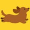 Flat colored adorable red Miniature Dachshund running