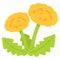 Flat colored adorable yellow Dandelion flowers