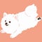 Flat colored simple and adorable Japanese Spitz running illustration