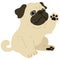 Flat colored simple and cute pug sitting and waving hand