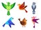 Flat colorful birds with wings. Bright flying characters with feathers in wildlife. Small singing pigeons and sparrows