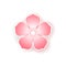 Flat colorful icon of sakura flower