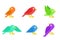 Flat Colorful Sparrow Birds vector collection