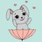 Flat cute animal bunny flying with umbrella illustration for kids. Cute bunny