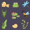 Flat design cute animals set. River life: fish, frog, dragonfly, crayfish, bee, water lily, shells