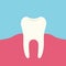 Flat design illustration of tooth and pink gums, vector