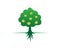 flat design illustration of a tree with coins as the fruit, illustration of a growing investment that gives profit