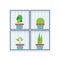 Flat Design Potted Plants In The Box