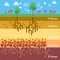 Flat design Soil Infographics Nature Vector