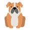 Flat dog pet sitting cute vector