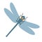 Flat dragonfly vector illustration