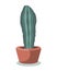 Flat drawing of a vertical potted cactus. Houseplant. Green cactus in a pot. Isolated Vector on white