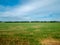 Flat Dutch landscape with green grass and far sight.