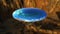 Flat earth with nature landscape, ancient belief in plane globe in form of disk, 3d rendering
