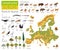 Flat European flora and fauna map constructor elements. Animals, birds and sea life isolated on white big set. Build your own geo