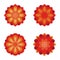 Flat flowers. Icon set. Red flower symbols illustration