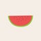 Flat fresh slice water melon on grid background