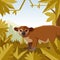 Flat geometric jungle background with Kinkajou