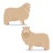 Flat geometric Leicester Long-wool Sheep