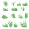 Flat grasses set vector.bush set with isolated white