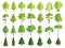 Flat green trees. Nature plants clean shaping forms vector collection isolated