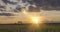 Flat hill meadow timelapse at the summer sunset time. Wild nature and rural field. Sun rays, trees, green grass movement