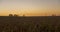 Flat hill meadow timelapse at the summer sunset time. Wild nature and rural grass field. Sun rays and trees. Motorised