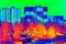 Flat house in cold surrounding scan. Thermal color spectre scale. Infra or thermography scan