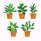 Flat houseplant collection Vector illustration.