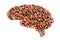 Flat Human Brain Shape Made from Roasted Coffee Beans