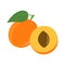 Flat icon apricot