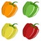 Flat icon four peppers. Yellow, red, green and orange peppers on white background.