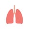 Flat icon lungs