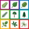 Flat Icon Natural Set Of Evergreen, Park, Alder And Other Vector Objects. Also Includes Acacia, Leaf, Tree Elements.