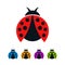 Flat Icon Set of Colorful Ladybugs with Open Wings