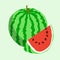 Flat icon watermelon. Vector illustration.