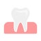 Flat icon white single tooth in healthy gums