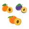 Flat icons apricot, plum and peach