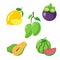 Flat icons for fruits,lemon,mangosteen,mango,papaya,watermelon,vector illustrations