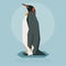 Flat King Penguin