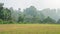 Flat land with grass on hilltop in winter season