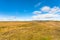 flat landscape in Iceland in sunny september day