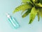 Flat lay of alcohol sanitizer hand gel with part of Bird`s nest fern leaves on blue background , protection from corona virus of