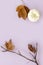 Flat lay autumn fancy halloween pumpkin and dried leaves on past