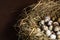 Flat lay with  Bird`s nest with quail eggs. Easter concept