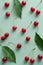 Flat lay cherry berries and leaves on pastel green background. Top view ripe red cherries on table