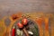 Flat lay composition with different spices, silhouettes of cutlery and plate on wooden table. Space for text