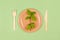 Flat lay composition with eco-friendly tableware - paper plate and wooden cutlery on green background. Paper food packaging,