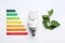 Flat lay composition with energy efficiency rating chart, fluorescent light bulb and leaves on white